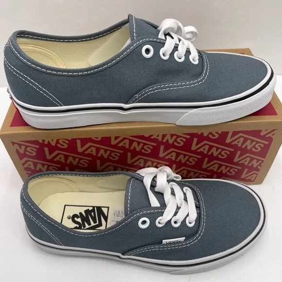 Vans Men’s Authentic Color Theory Stormy WeatherVN000EGARV2 Sneakers